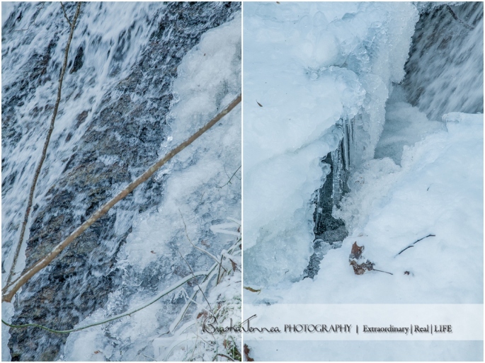 Frozen Bald River Falls - Fine Art Nature - BraskaJennea Photography_0043.jpg